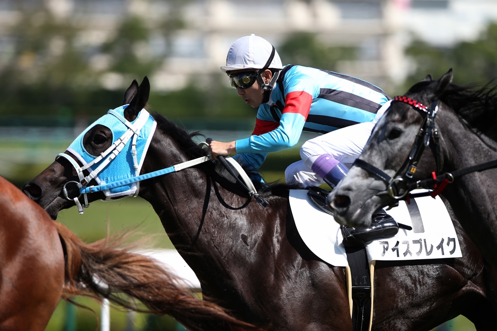 f:id:jikuuma:20210117225224j:plain