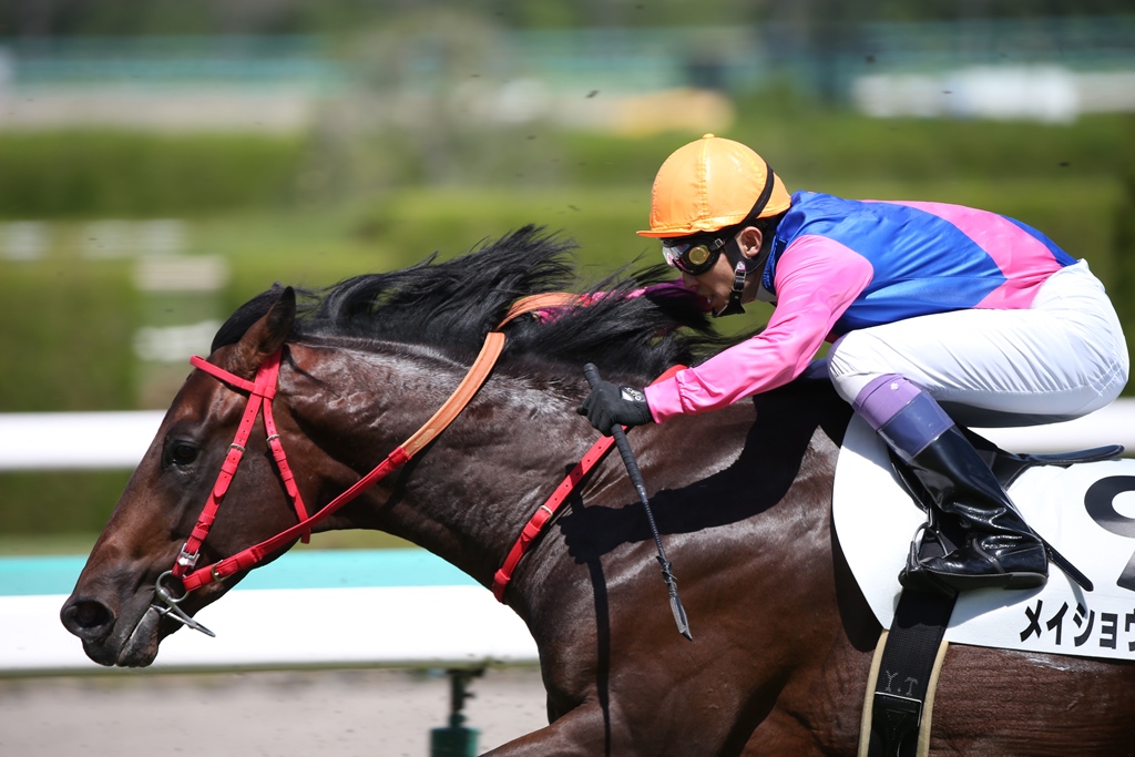 f:id:jikuuma:20210121011511j:plain