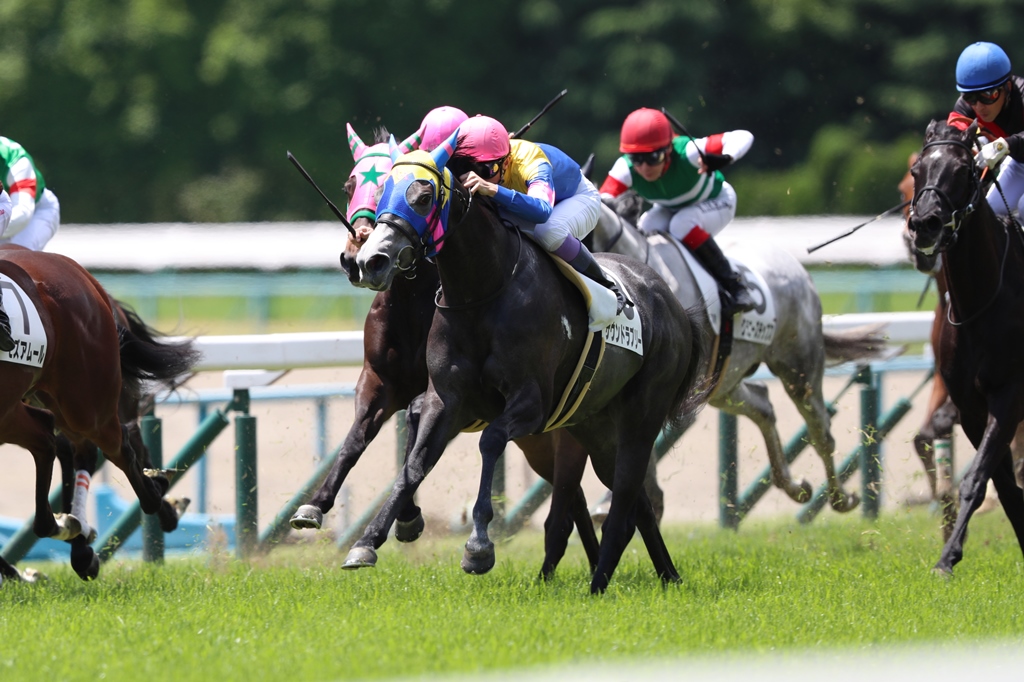 f:id:jikuuma:20210123210758j:plain