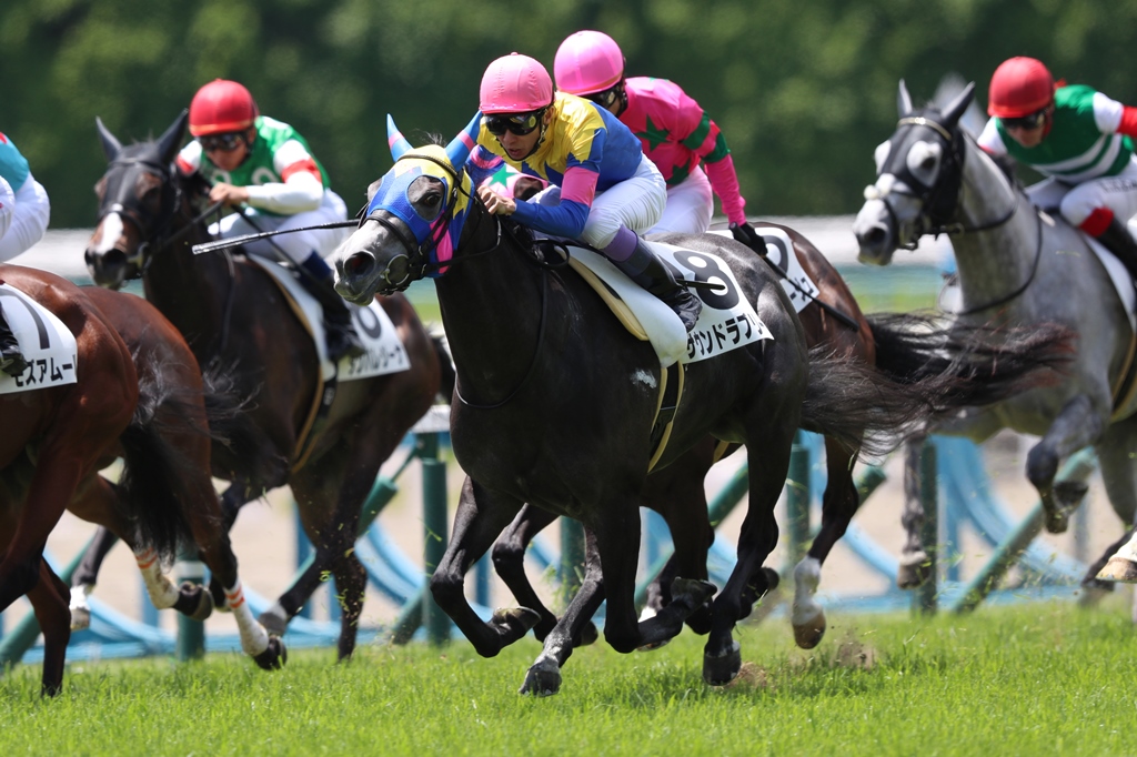 f:id:jikuuma:20210125193707j:plain