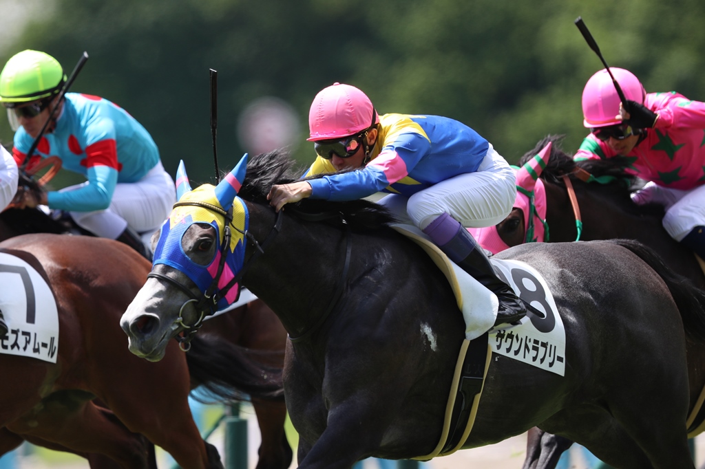 f:id:jikuuma:20210126132845j:plain