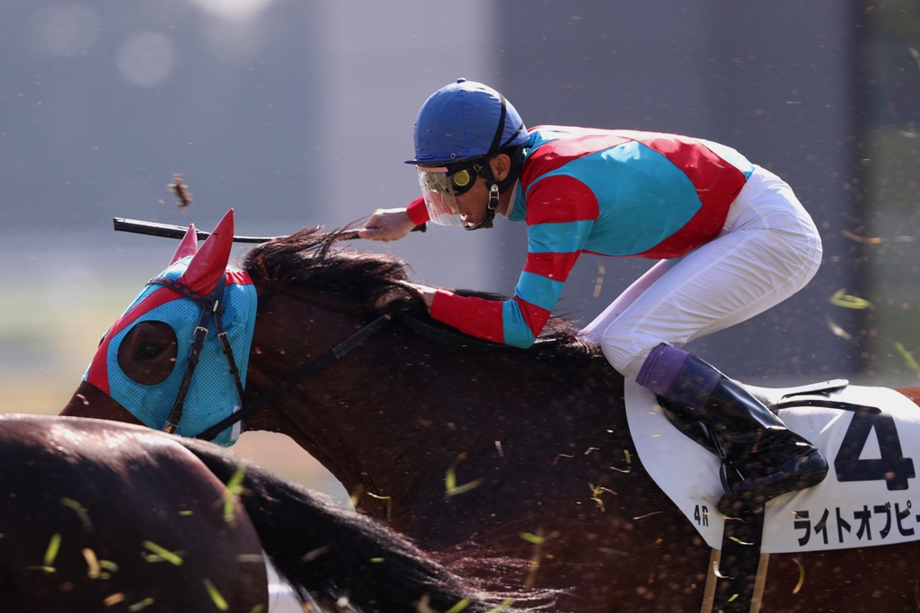 f:id:jikuuma:20210131040751j:plain