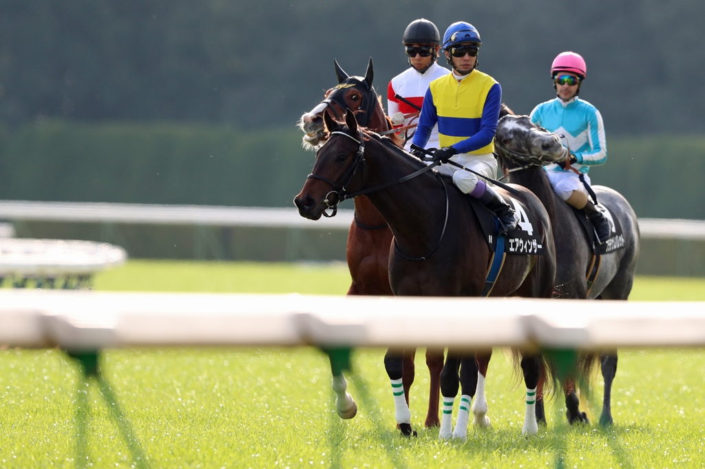 f:id:jikuuma:20210201025820j:plain