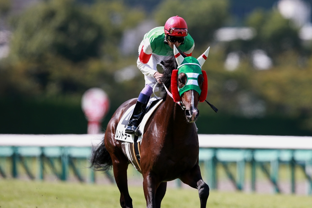 f:id:jikuuma:20210202040132j:plain