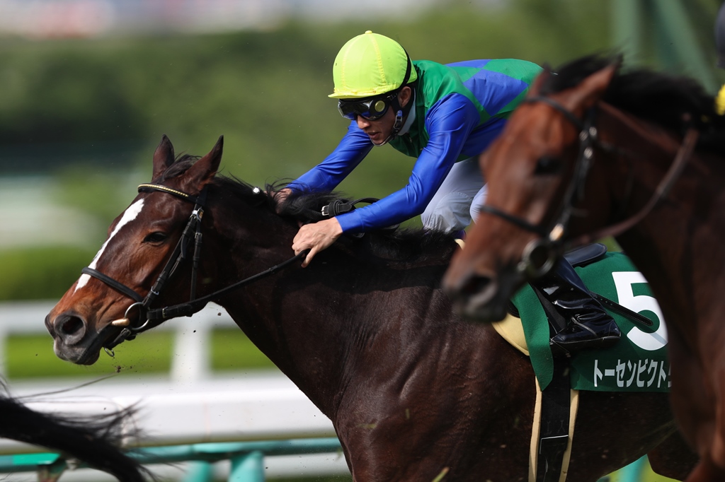 f:id:jikuuma:20210206090505j:plain