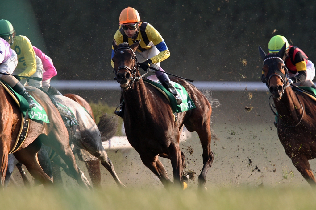 f:id:jikuuma:20210211225922j:plain