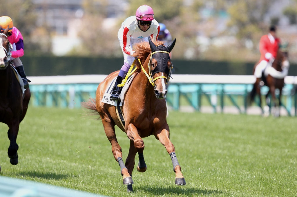 f:id:jikuuma:20210215015410j:plain