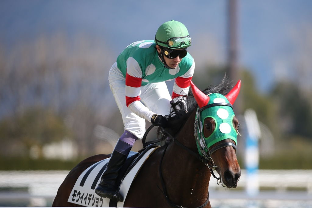 f:id:jikuuma:20210223091929j:plain