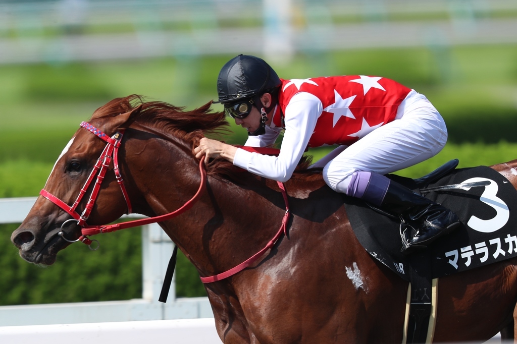 f:id:jikuuma:20210227221027j:plain