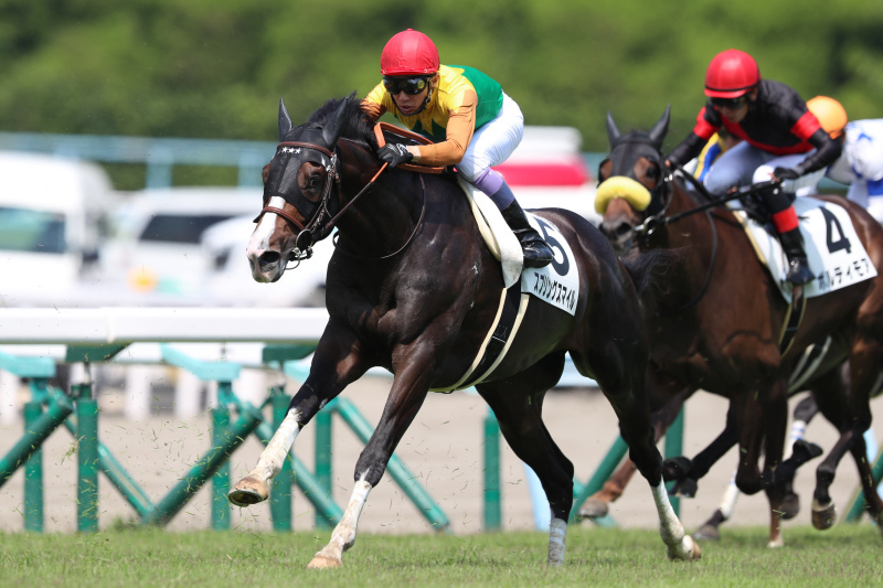 f:id:jikuuma:20210302094446j:plain