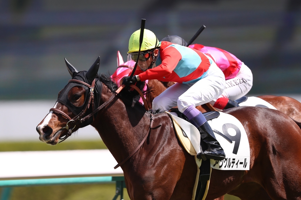 f:id:jikuuma:20210303122804j:plain