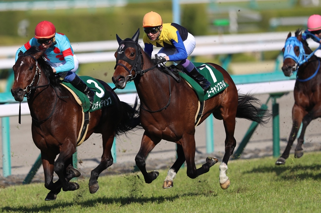 f:id:jikuuma:20210305012416j:plain