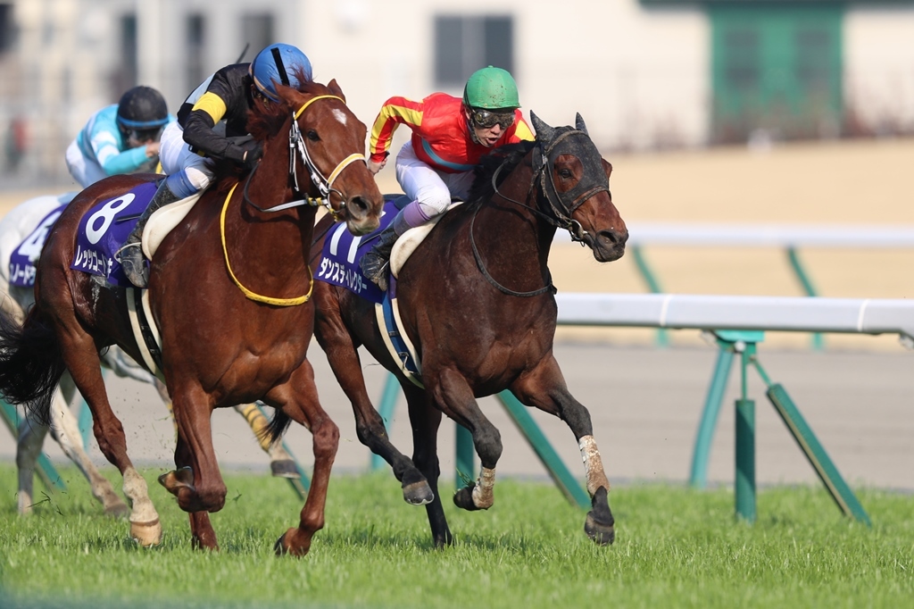 f:id:jikuuma:20210309012842j:plain