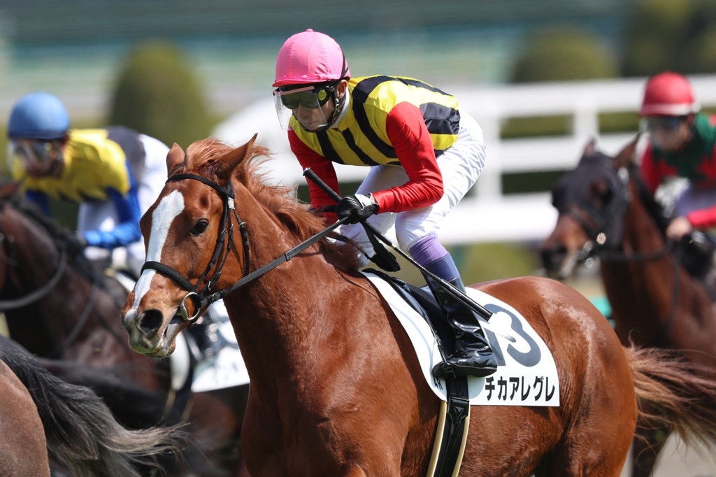 f:id:jikuuma:20210311183133j:plain