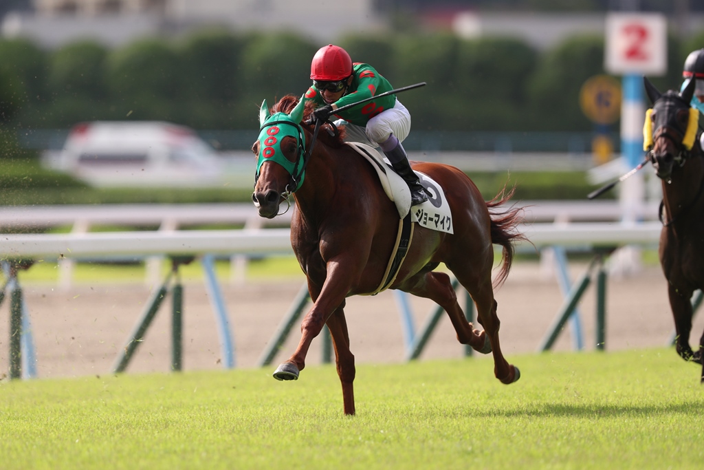 f:id:jikuuma:20210327220940j:plain