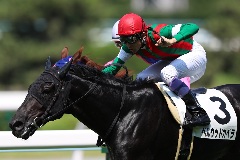 f:id:jikuuma:20210330081516j:plain