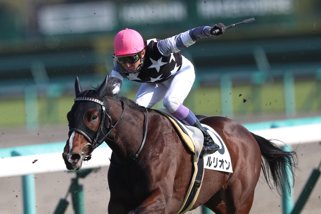 f:id:jikuuma:20210408095740j:plain