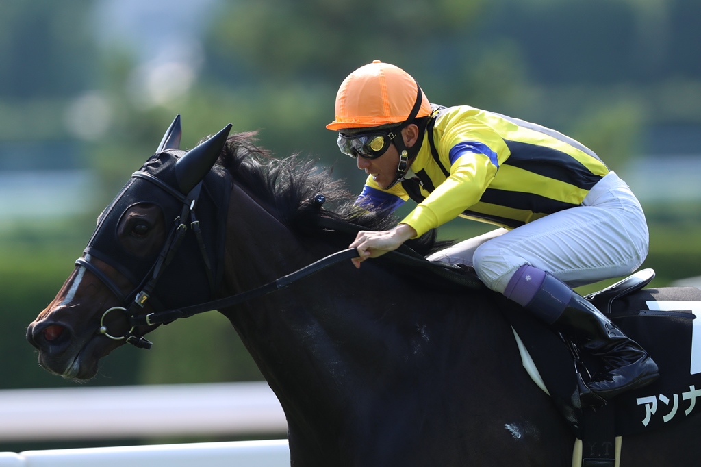 f:id:jikuuma:20210415221204j:plain