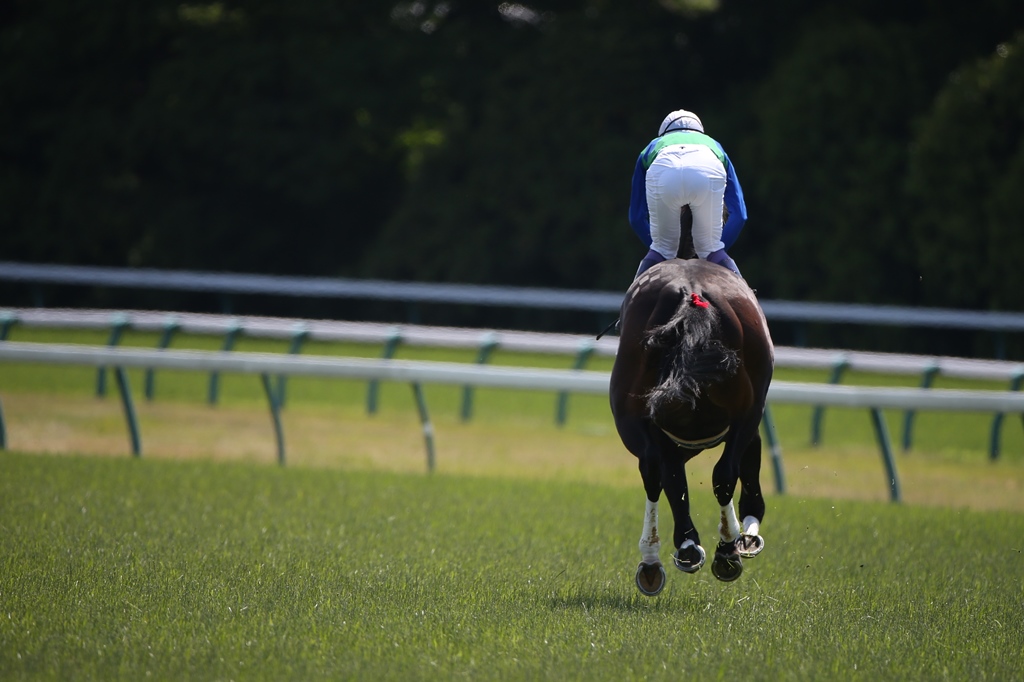 f:id:jikuuma:20210427085239j:plain