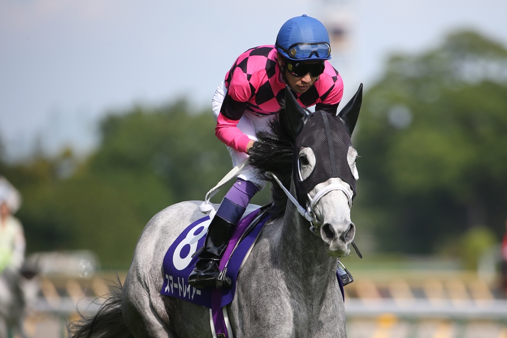 f:id:jikuuma:20210430031905j:plain