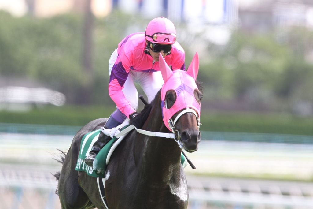 f:id:jikuuma:20210501071804j:plain