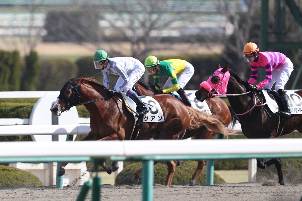 f:id:jikuuma:20210503205052j:plain