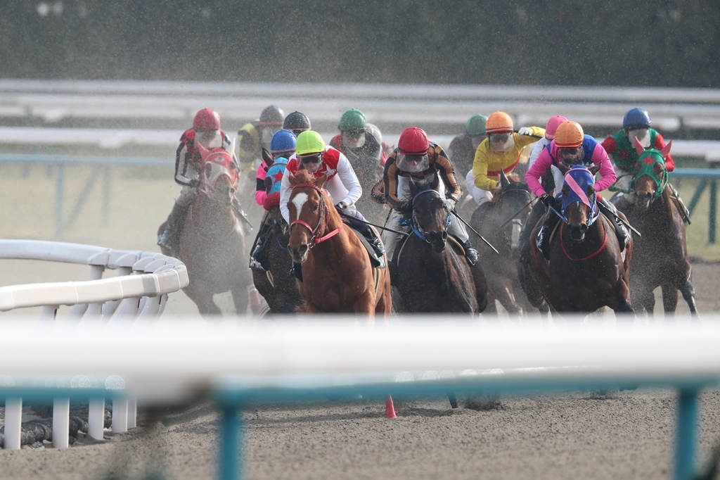 f:id:jikuuma:20210512062537j:plain