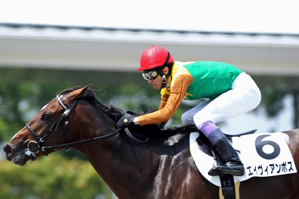 f:id:jikuuma:20210515213728j:plain