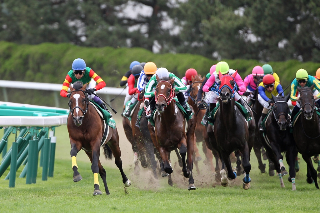 f:id:jikuuma:20210520120637j:plain