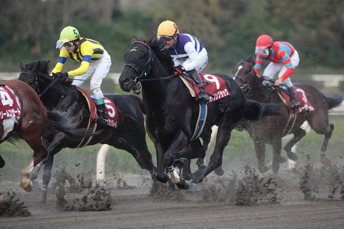 f:id:jikuuma:20210527101922j:plain