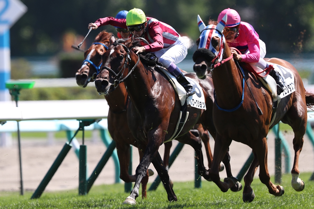 f:id:jikuuma:20210531212829j:plain