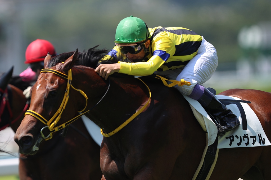 f:id:jikuuma:20210605133840j:plain