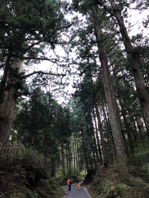 f:id:jimbos_1977:20190826055120j:plain