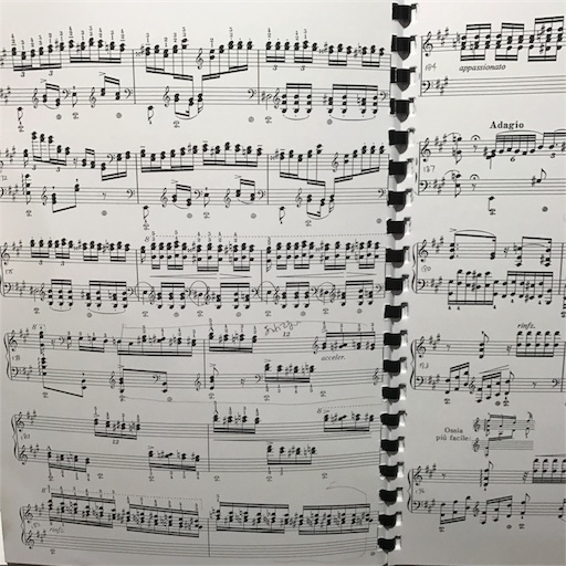 LISZT/演奏会用幻想曲「ドン・ジョヴァンニの回想」 Breitkopf リスト