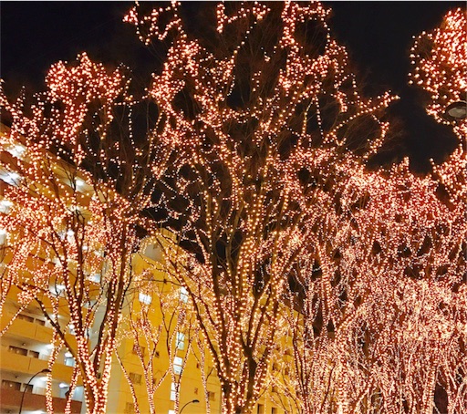 f:id:jimkbys471:20161228131031j:image f:id:jimkbys471:20161228131031j:image