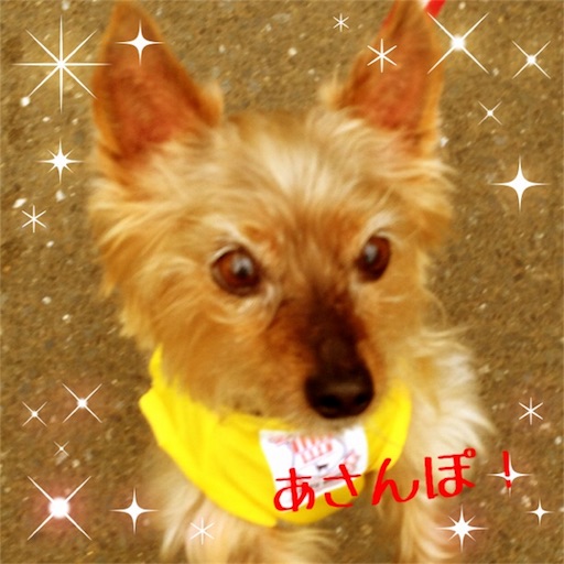 f:id:jimkbys471:20171224191237j:image