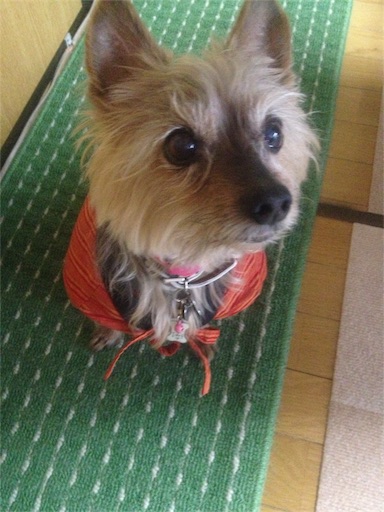 f:id:jimkbys471:20171224191300j:image