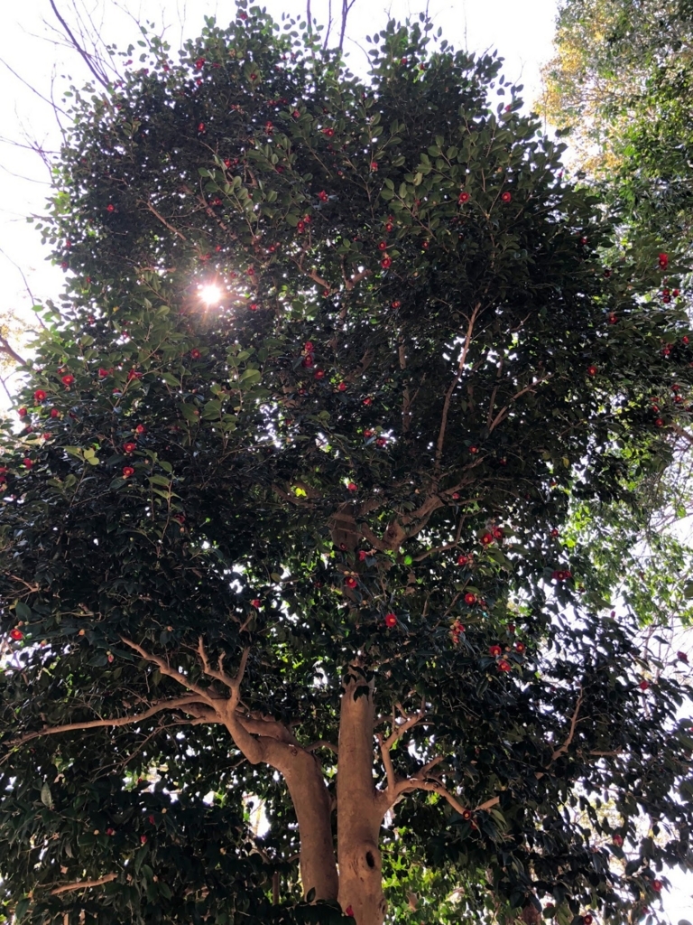 f:id:jimuin310:20180714114150j:plain