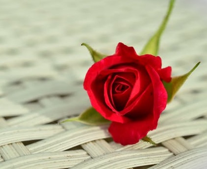 f:id:jimuin310:20180726144359j:plain f:id:jimuin310:20180726144359j:plain