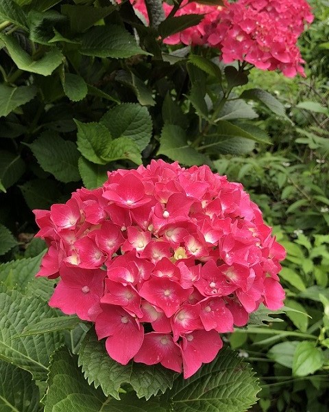 f:id:jimuin310:20180731164033j:plain