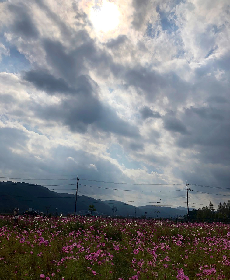 f:id:jimuin310:20181025164839j:plain f:id:jimuin310:20181025164839j:plain