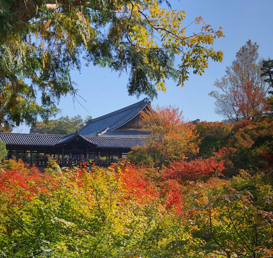 f:id:jimuin310:20181109173036j:plain