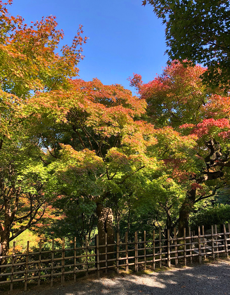 f:id:jimuin310:20181110154847j:plain