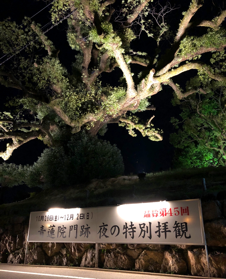 f:id:jimuin310:20181115162624j:plain f:id:jimuin310:20181115162624j:plain
