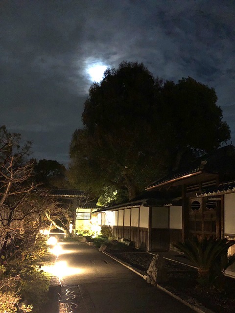 f:id:jimuin310:20181124141224j:plain f:id:jimuin310:20181124141224j:plain