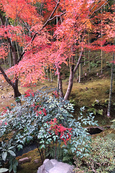 f:id:jimuin310:20181126165708j:plain