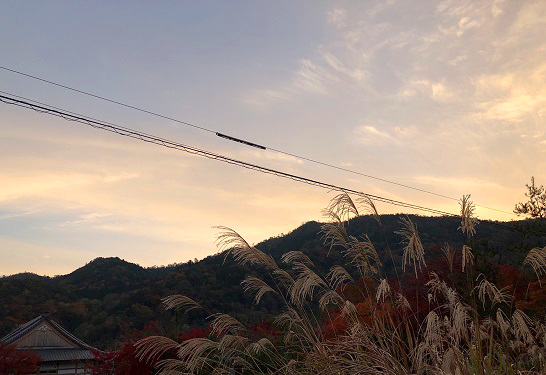 f:id:jimuin310:20181126171548j:plain