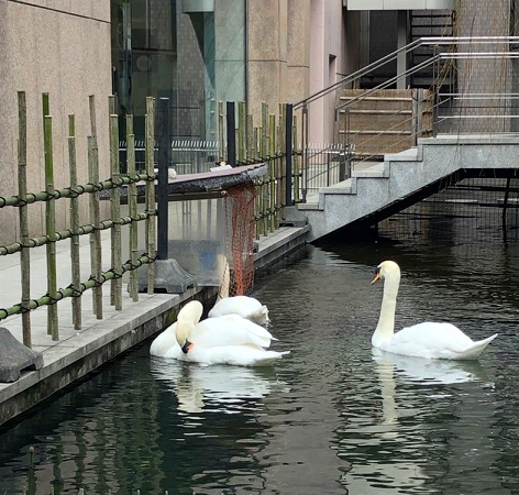 f:id:jimuin310:20190128165517j:plain f:id:jimuin310:20190128165517j:plain