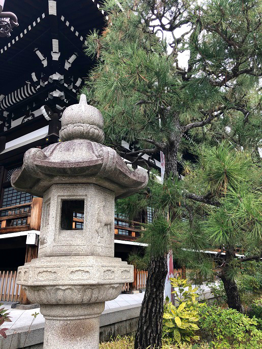 f:id:jimuin310:20190225164001j:plain f:id:jimuin310:20190225164001j:plain