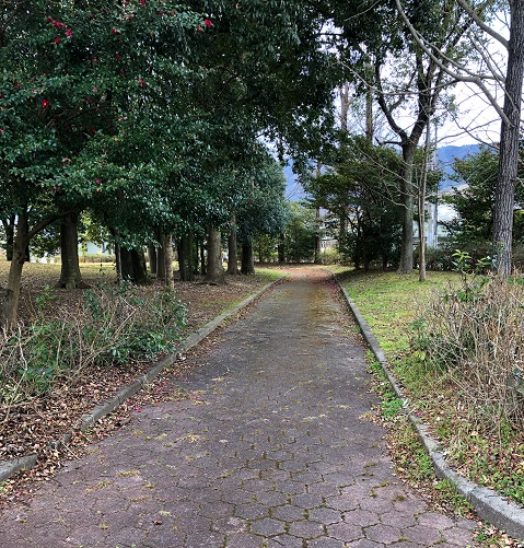 f:id:jimuin310:20190305170735j:plain